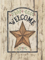 LS1114 - Welcome Star - 12x16