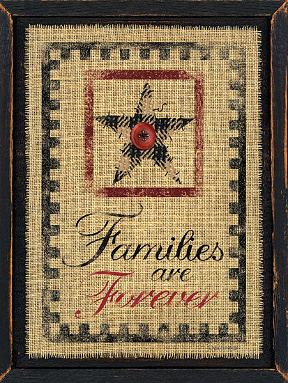 Linda Spivey LS1491 - Families are Forever - Families, Star, Checkerboard, Needlework, Frame from Penny Lane Publishing