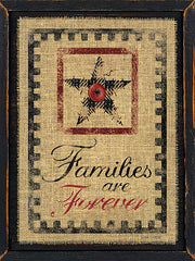 LS1491 - Families are Forever - 12x16