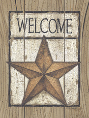 LS878 - Star Welcome - 12x16