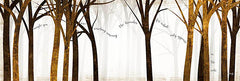 MA2293 - In the Roots - 18x6