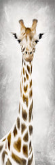 MAZ5473 - Geri the Giraffe - 8x24