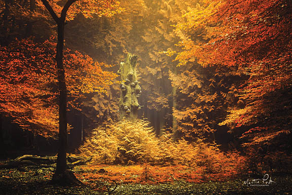 Martin Podt MPP372 - In the Middle - Trees, Autumn, Leaves from Penny Lane Publishing