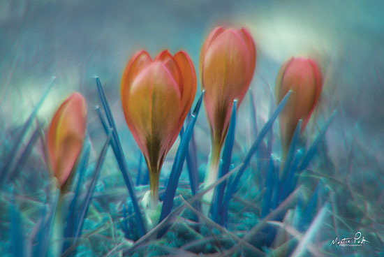 Martin Podt MPP407 - Different Kind of Spring Spring, Flowers from Penny Lane