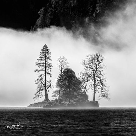 Martin Podt MPP415 - The Island Island, Trees, Black & White, Stormy from Penny Lane