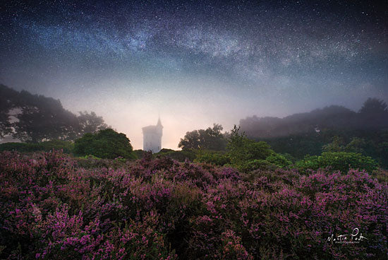 Martin Podt MPP417 - Let It All Go Castle, Purple Flowers, Wildflowers, Meadow, Field from Penny Lane