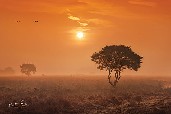 Martin Podt MPP419 - Out of Twente Twente, Eastern Netherlands, Tree, Sun from Penny Lane