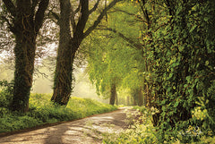 MPP437 - Lente in Twente