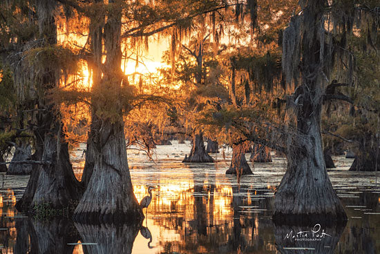 Martin Podt MPP494 - Sunset in the Swamps - 18x12 Sunset, Swamps, Heron, Trees from Penny Lane