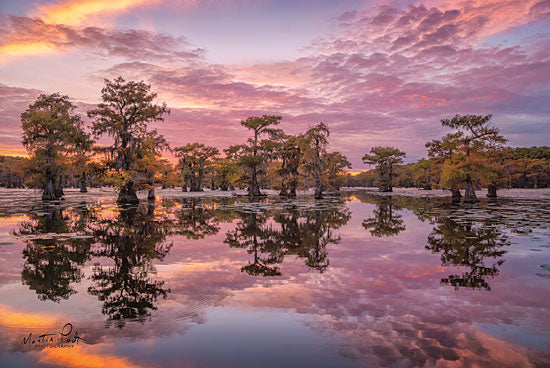Martin Podt MPP500 - Magnificent Sunset in the Swamps - 18x12 Sunset, Swamps, Trees, Reflection, Nautical from Penny Lane