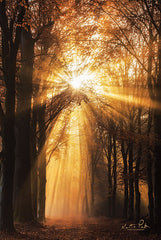 MPP506 - Sunburst     - 12x18