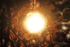 MPP514 - Into the Sun - 18x12