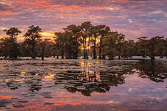 MPP516 - Sundown in the Swamps - 18x12