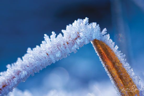 Martin Podt MPP532 - Ice Cold - 18x12 Ice, Frozen, Winter, Cold from Penny Lane