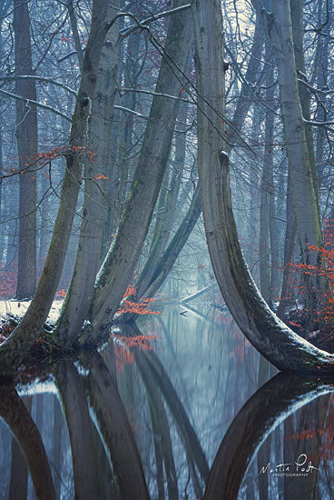 Martin Podt MPP538 - MPP538 - The Bent Ones - Winter Version - 12x18 Photography, Trees, Forest, Winter, Reflections from Penny Lane