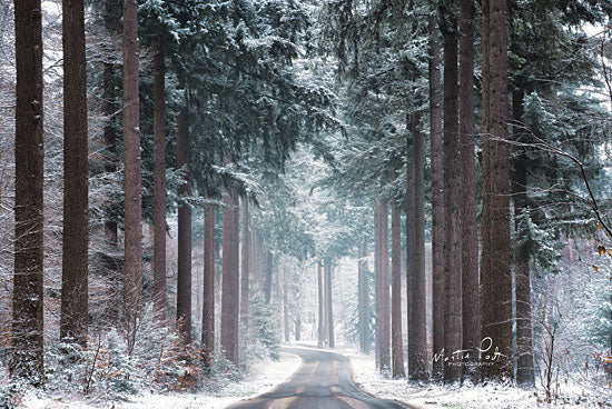 Martin Podt MPP539 - MPP539 - Pines in Winter Dress - 18x12 Photography, Trees, Path, Road, Winter, Snow from Penny Lane