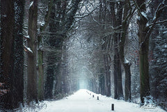 MPP543 - Snow in Markelo - 18x12