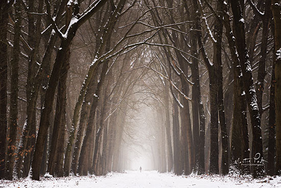 Martin Podt MPP544 - MPP544 - Lochem in Winter - 18x12 Lochem, Netherlands, Winter, Trees, Forest, Path, Snow, Winter from Penny Lane