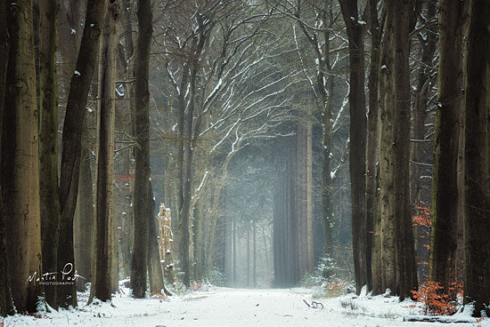Martin Podt MPP546 - MPP546 - Winer Alley - 18x12 Photography, Trees, Path, Road, Winter, Snow from Penny Lane