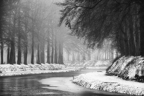 Martin Podt MPP547 - MPP547 - Winter River - 18x12 Photography, Trees, Path, River, Winter, Snow from Penny Lane