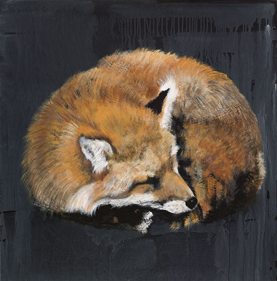 Suzi Redman RED100 - Sleeping Fox No. 7 - 12x12 Fox, Sleeping, Portrait from Penny Lane
