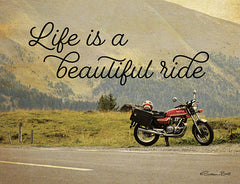 SB703 - Life is a Beautiful Ride - 16x12