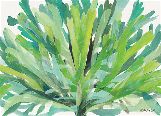 Stellar Design Studio SDS219 - SDS219 - Tropical Sea Grass 1 - 16x12 Sea Grass, Seaweed, Tropical from Penny Lane