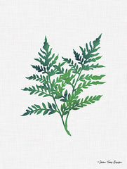 ST184 - Fern Leaves